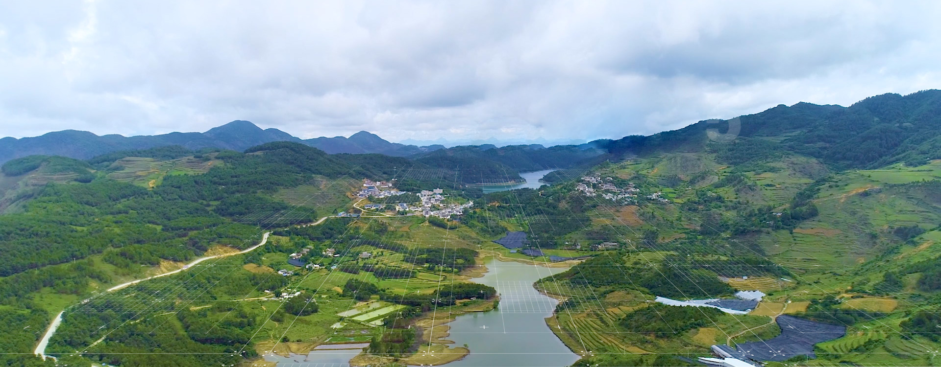 “夢里桃鄉”水蜜桃基地